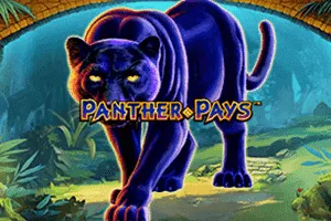 Playtech : Panther Pays - STONEBET88