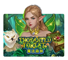 Enchanted Forest - STONEBET88